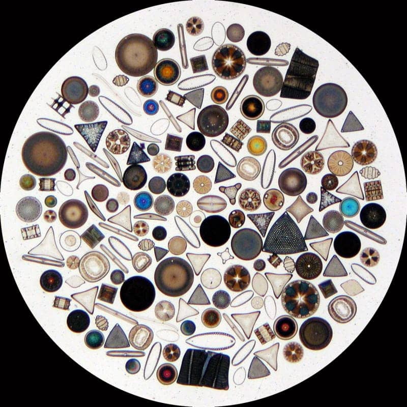 Looking at Gemfiles