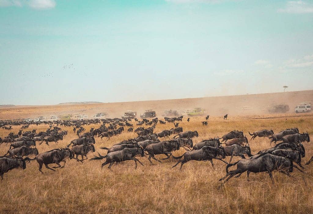 A Great Migration: Moving Tezlab From Heroku to Kubernetes